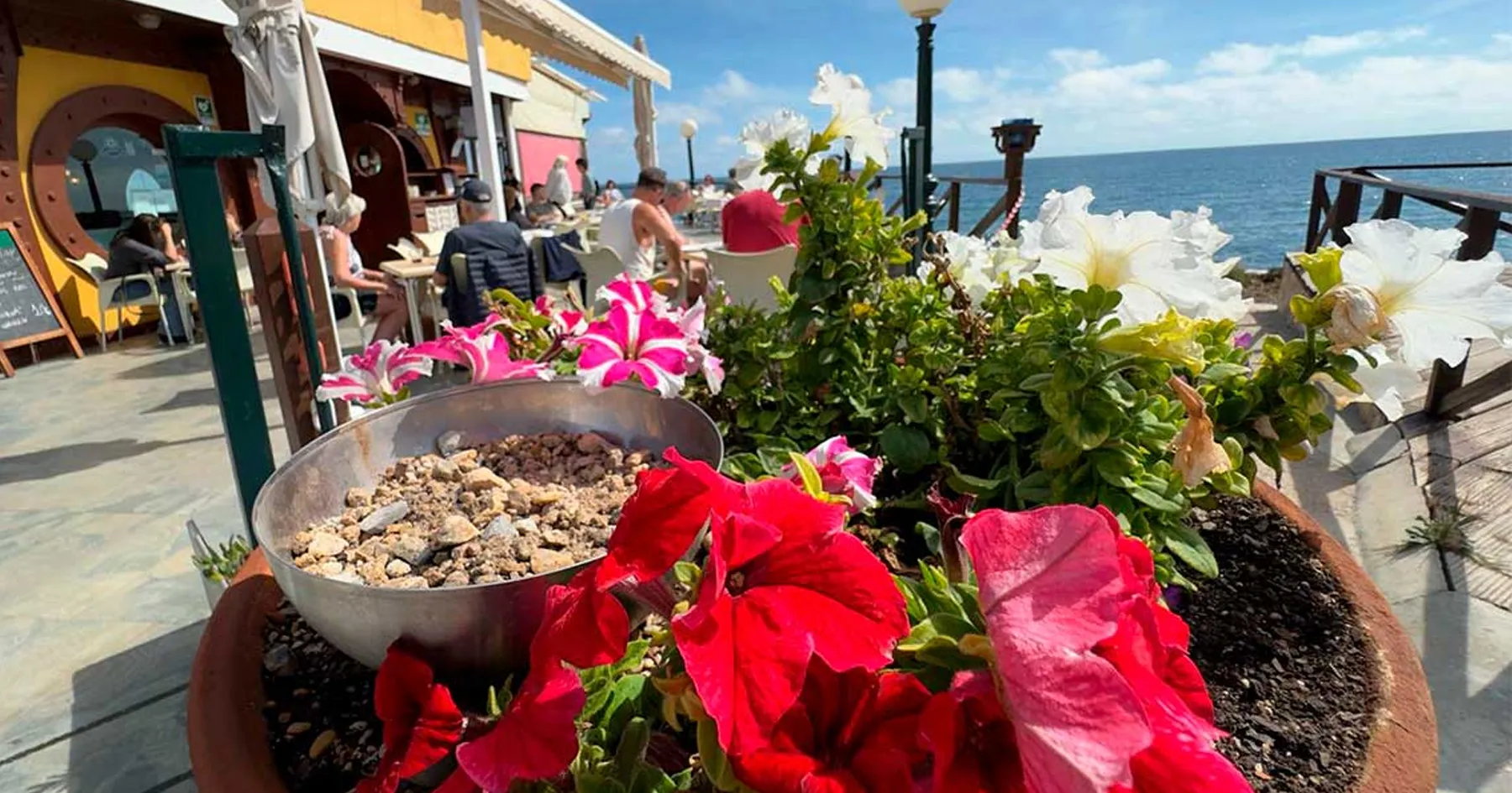 5 razones para visitarnos este fin de semana